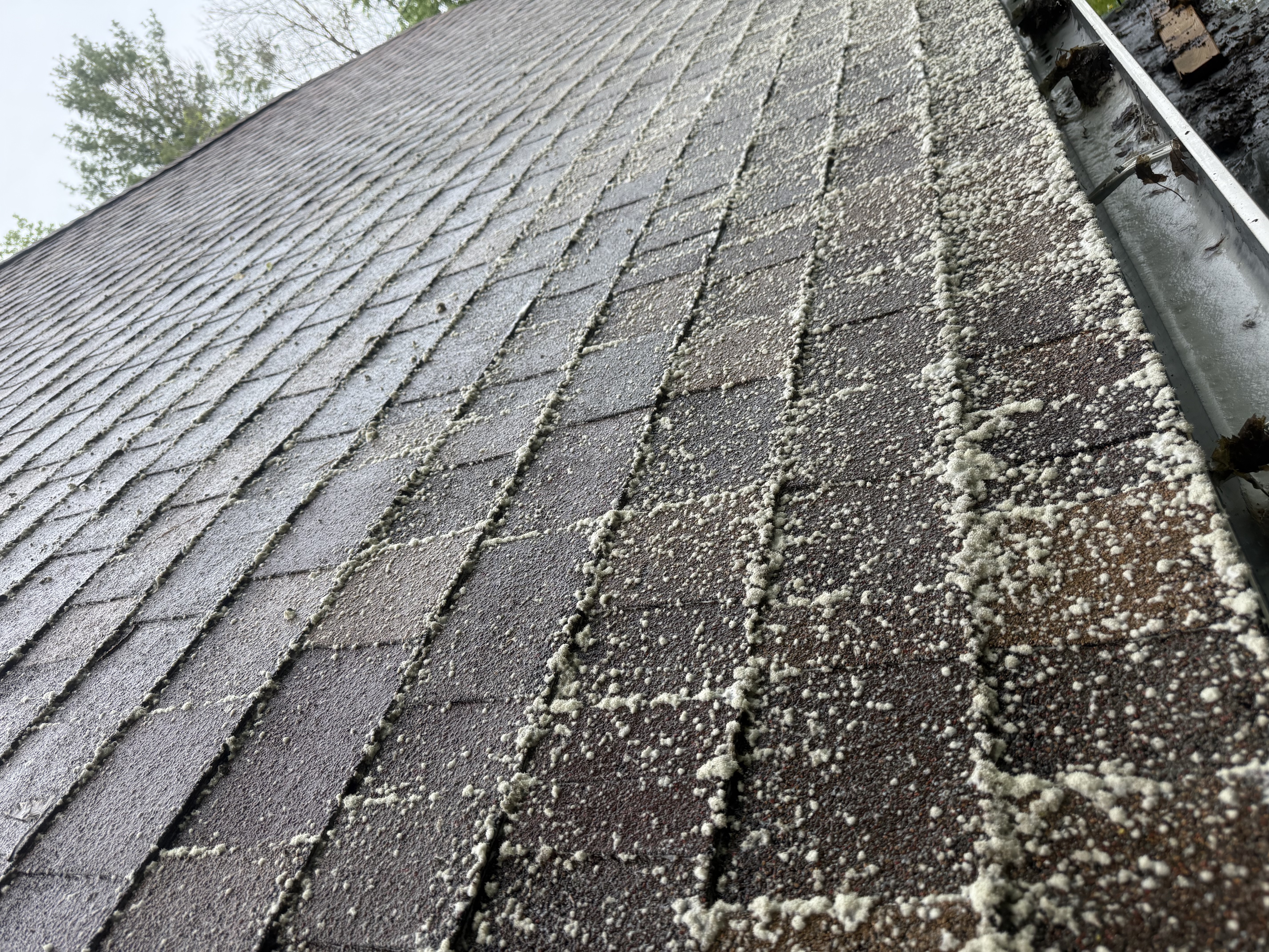 After roof washing Capital Region NY